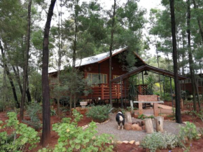 Woodland Gardens Pet Friendly Lodge